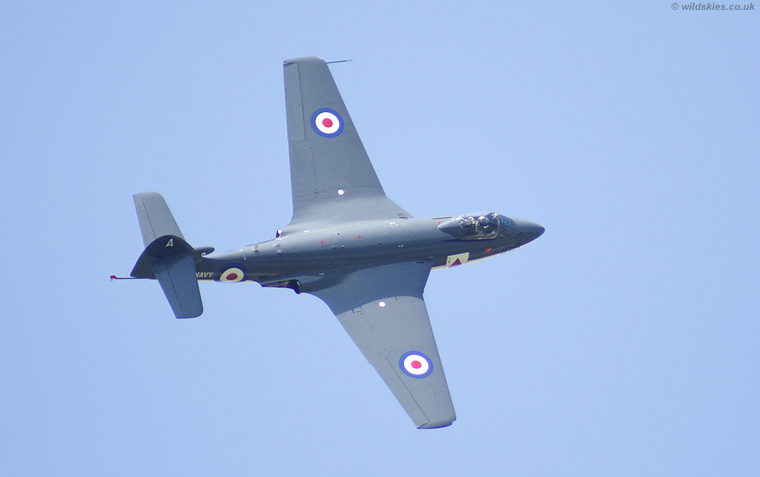 Sea Hawk