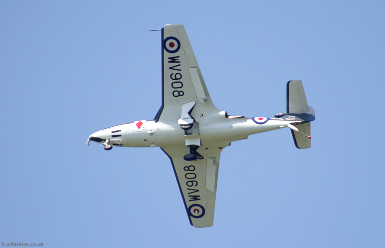 Sea Hawk