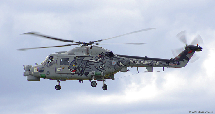 Lynx