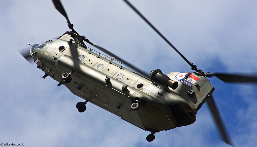 Chinook