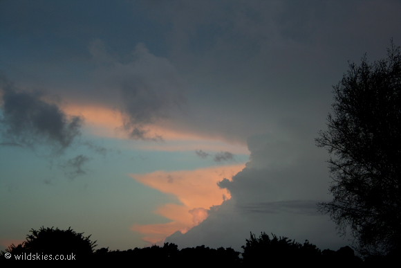 Sunrise crowned anvils