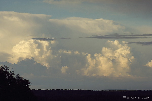 Distant Anvils