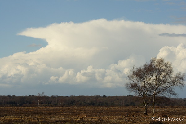 Distant anvil