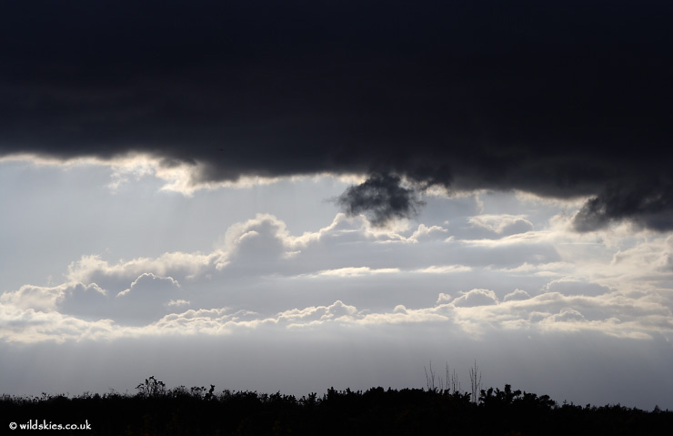 Distant Anvil