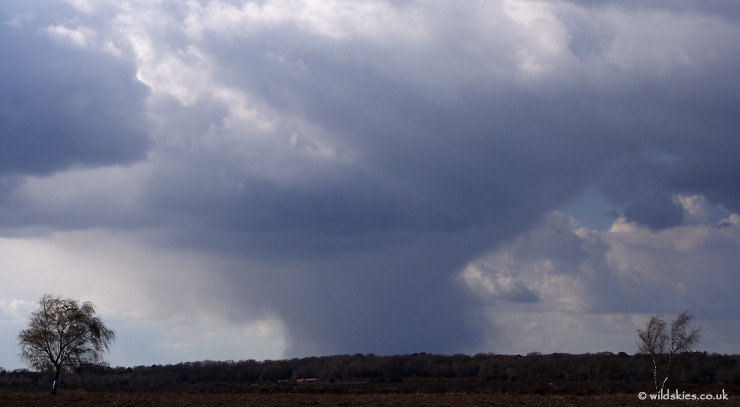 Distant Downpour