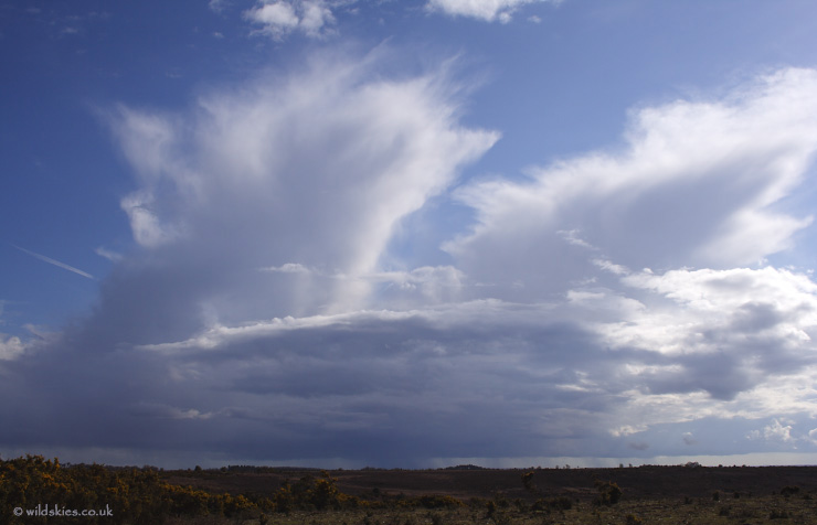 Anvils