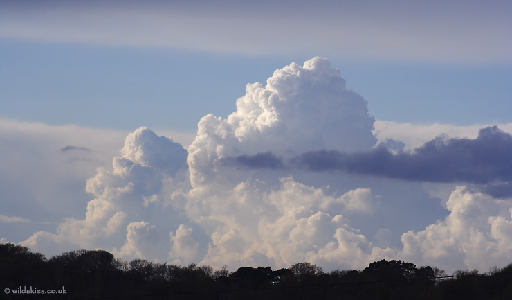 Cumulus