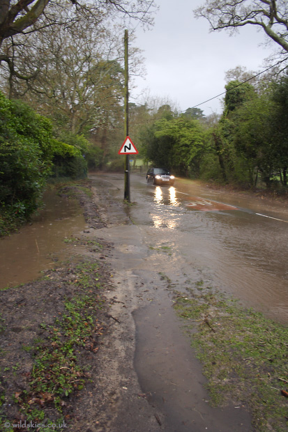 Flash Flood