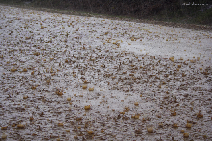 Hail Splashes