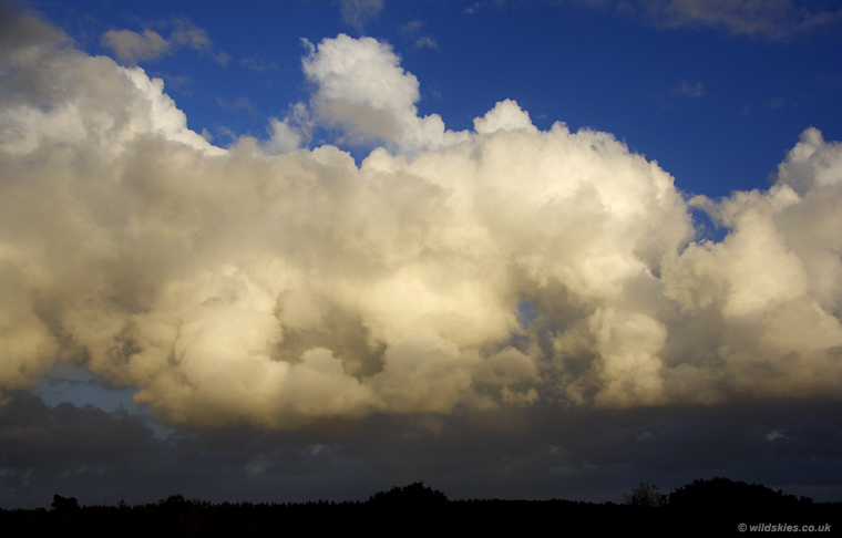 Cumulus