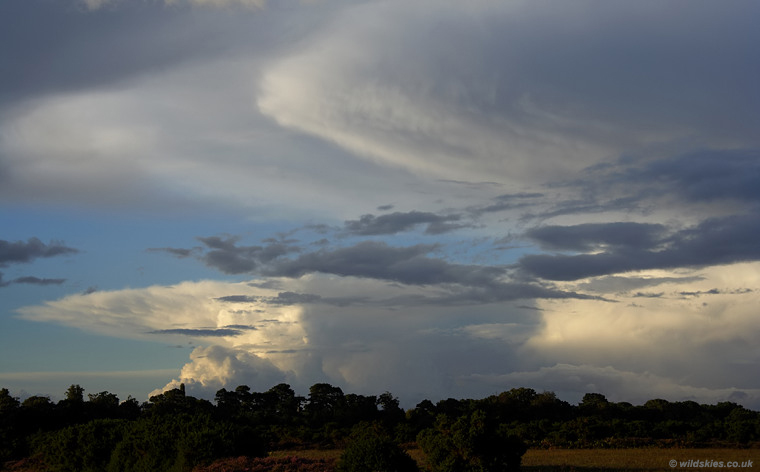 Anvils