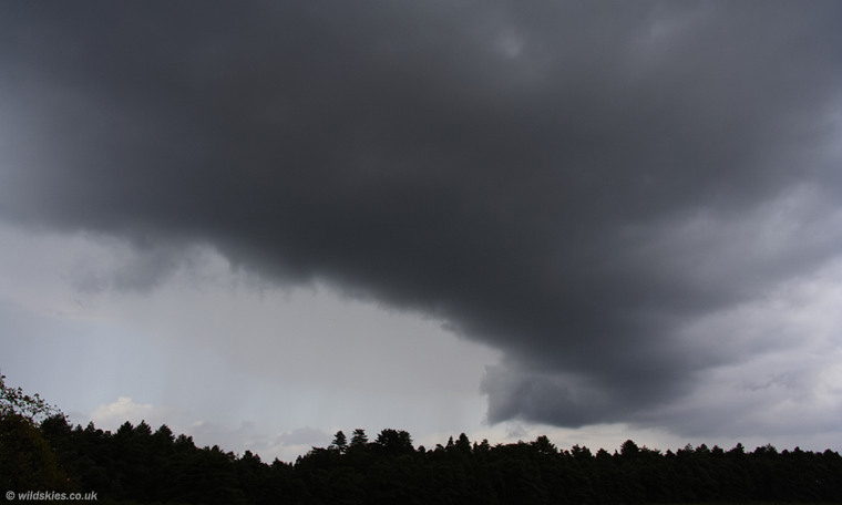 Gust Front