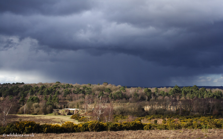 Stormy