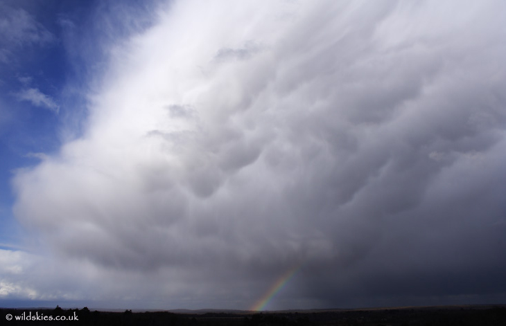 Mammatus