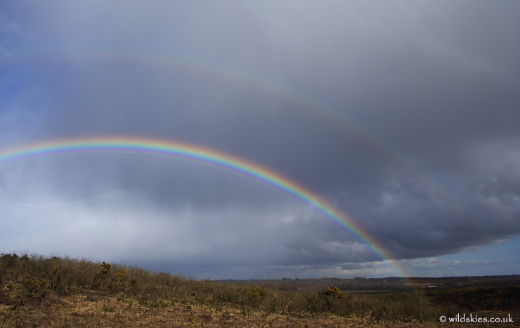 Rainbow