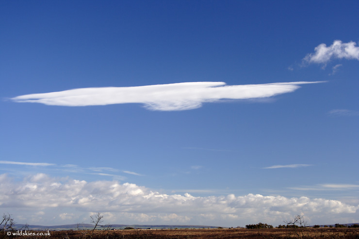 Lenticular