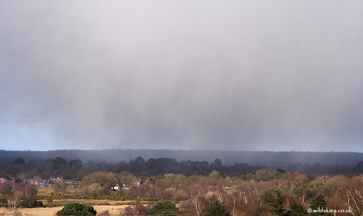 Snow Shower