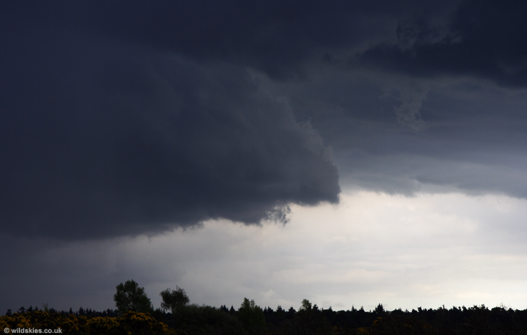 Gust Front