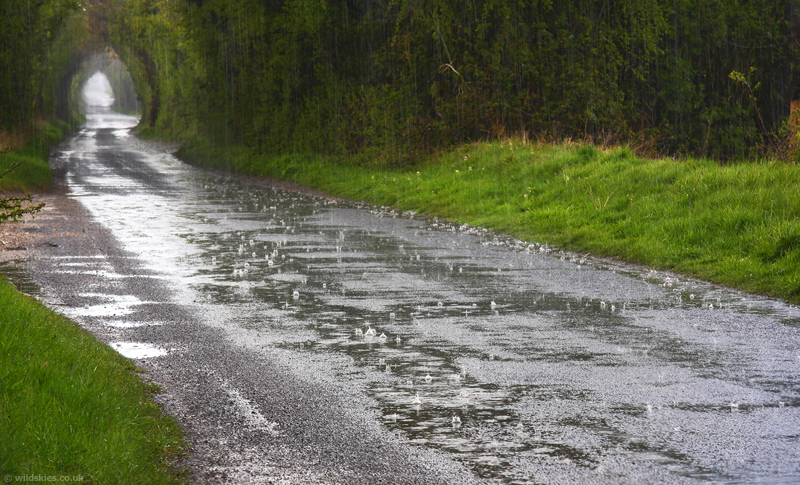 Heavy Rain