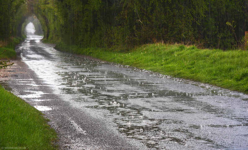 Heavy Rain