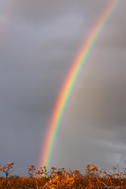 Rainbow