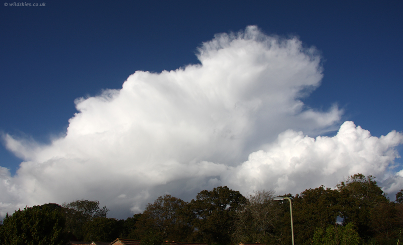 Anvils