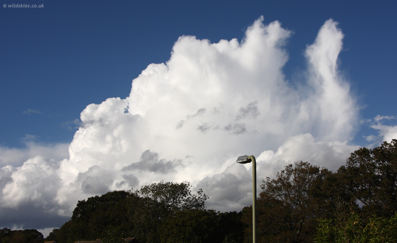 Anvils