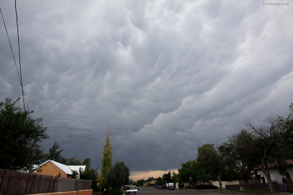 Mammatus