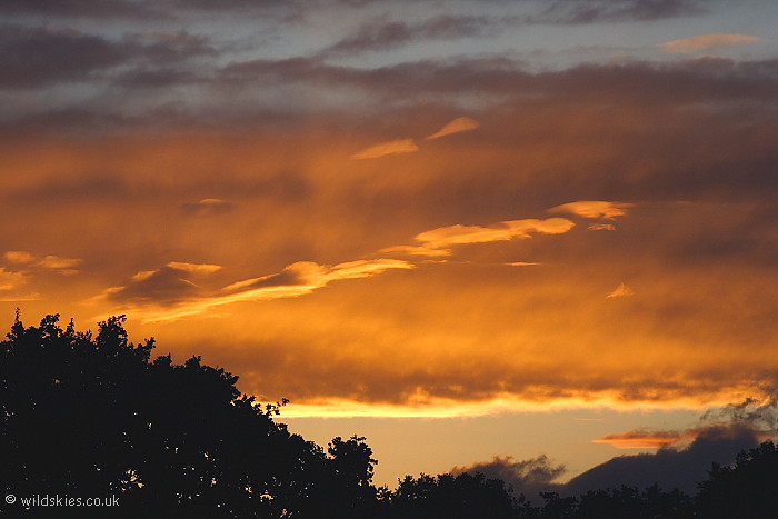 Sunset lenticulars