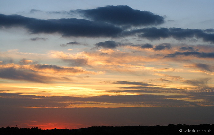 Forest Sunset