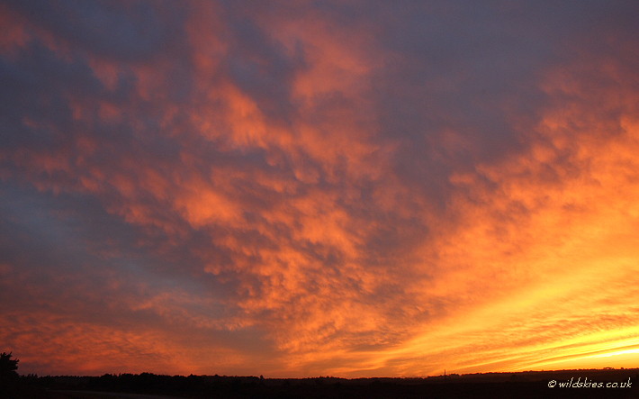 Mammatus