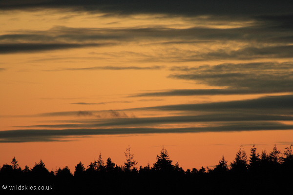 Treetop lenticulars