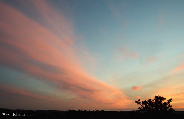 Pink cirrus