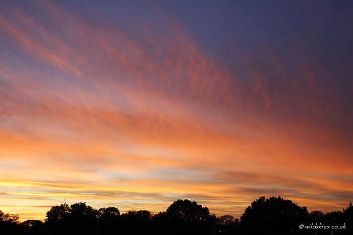 Pink Sunset