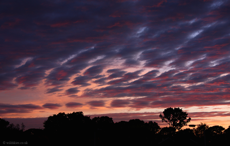 Lenticulars