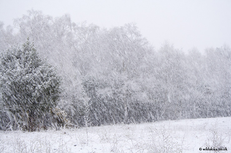 Heavy Snow