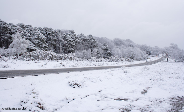 Thick Snow