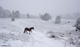 April 6th Heavy Snow