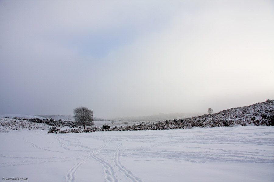 Snow