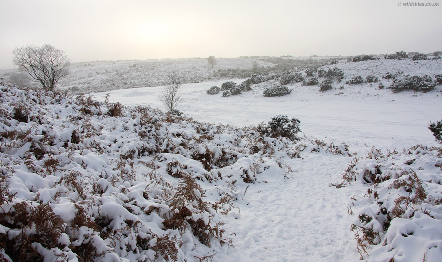 Snow