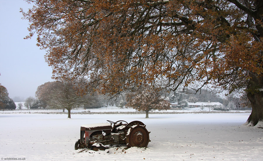Snow