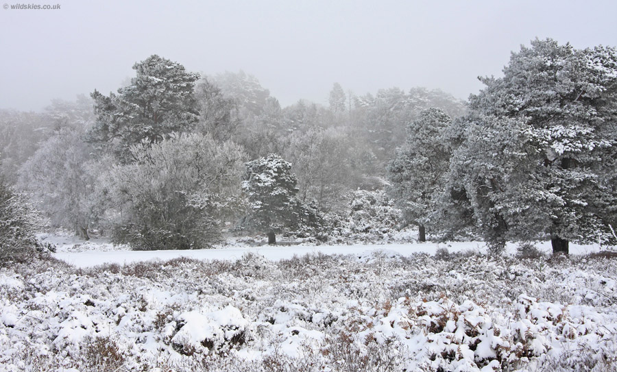 Freezing fog
