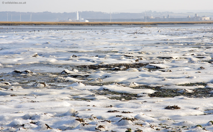 Sea Ice