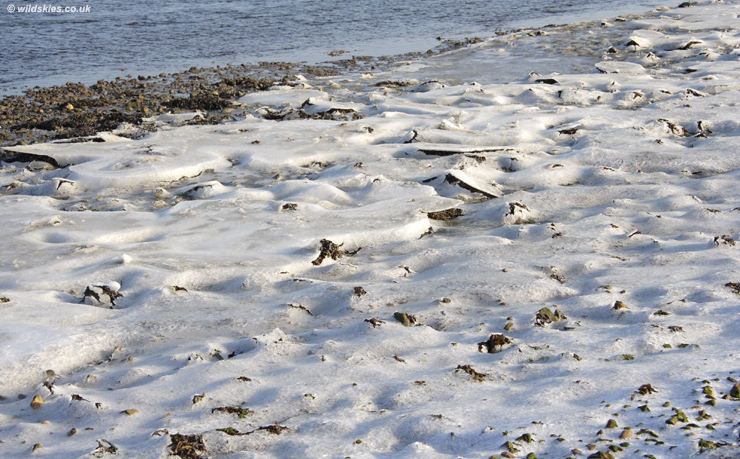 Sea Ice