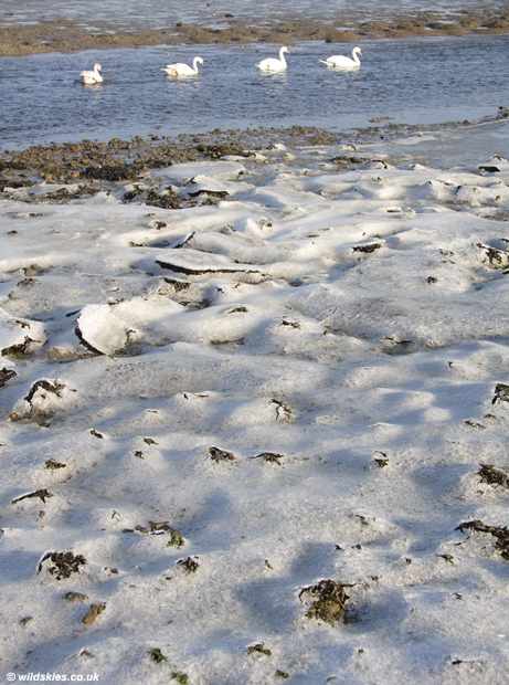 Sea Ice