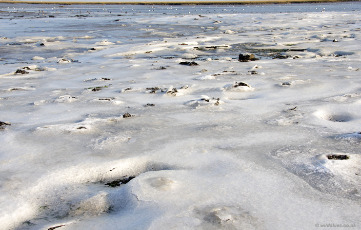 Sea Ice