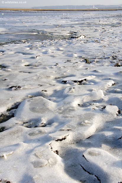 Sea Ice