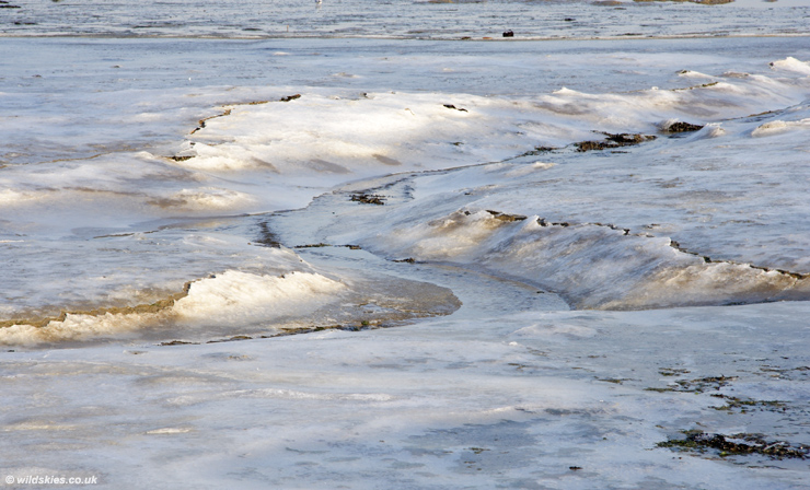 Sea Ice