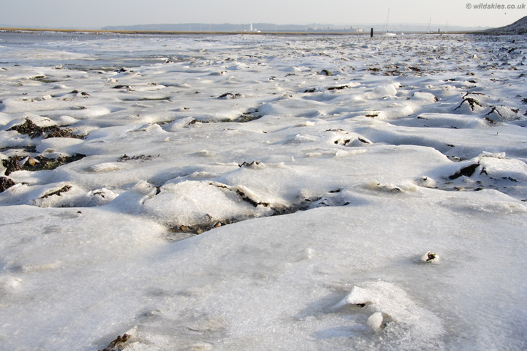 Sea Ice