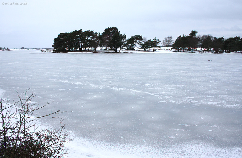 Hatchet Pond